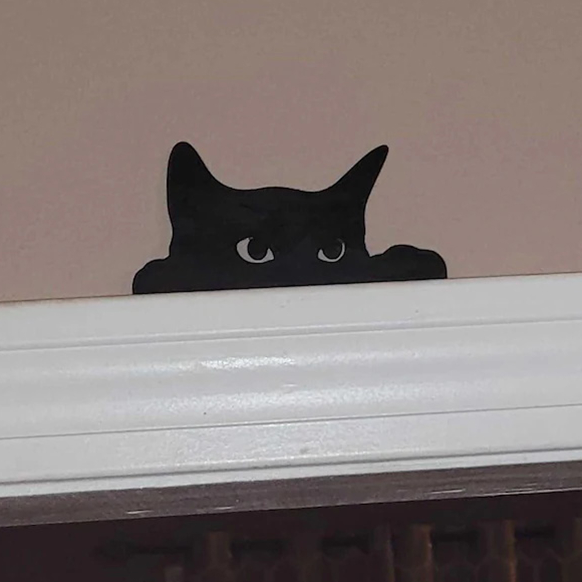 Kitchen Up - 1 Pc Cat looking up Door